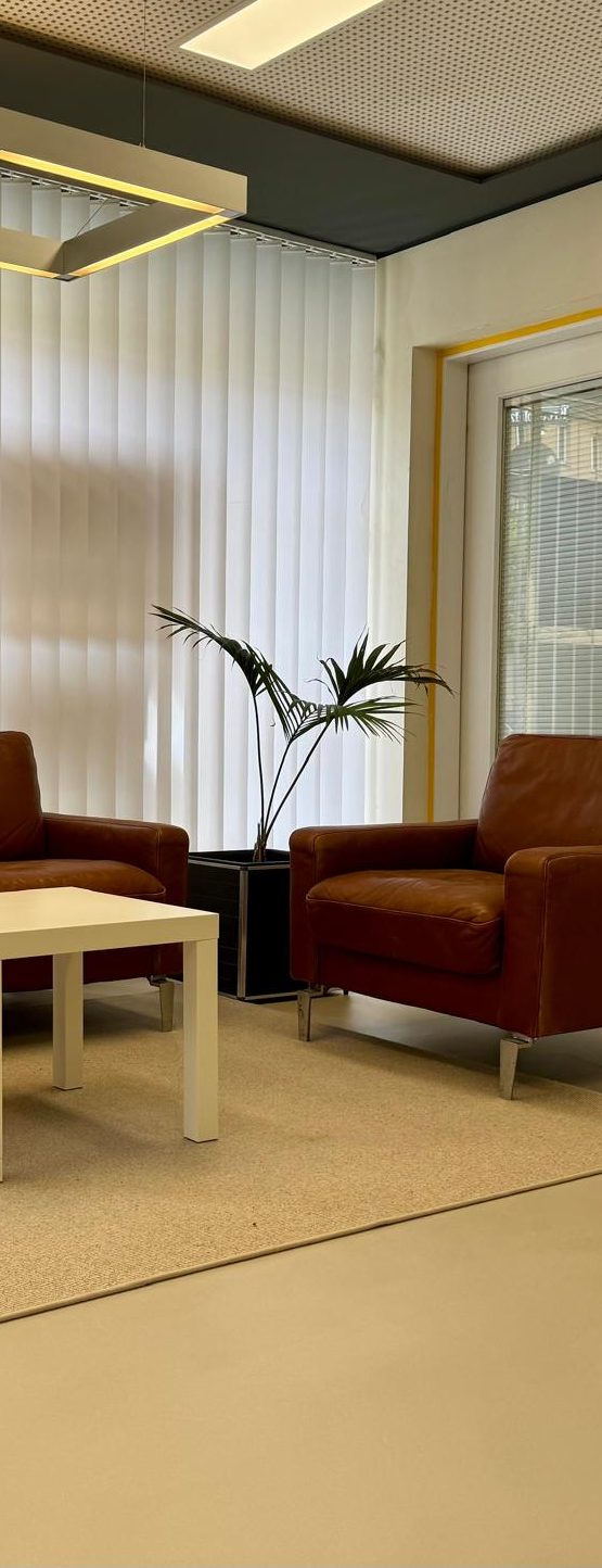 Ein Modernes, Lichtdurchflutetes Studio mit einem Grauen Stylischen Zement Boden von Zementstyle. Mit einer Modernen Ledercouch